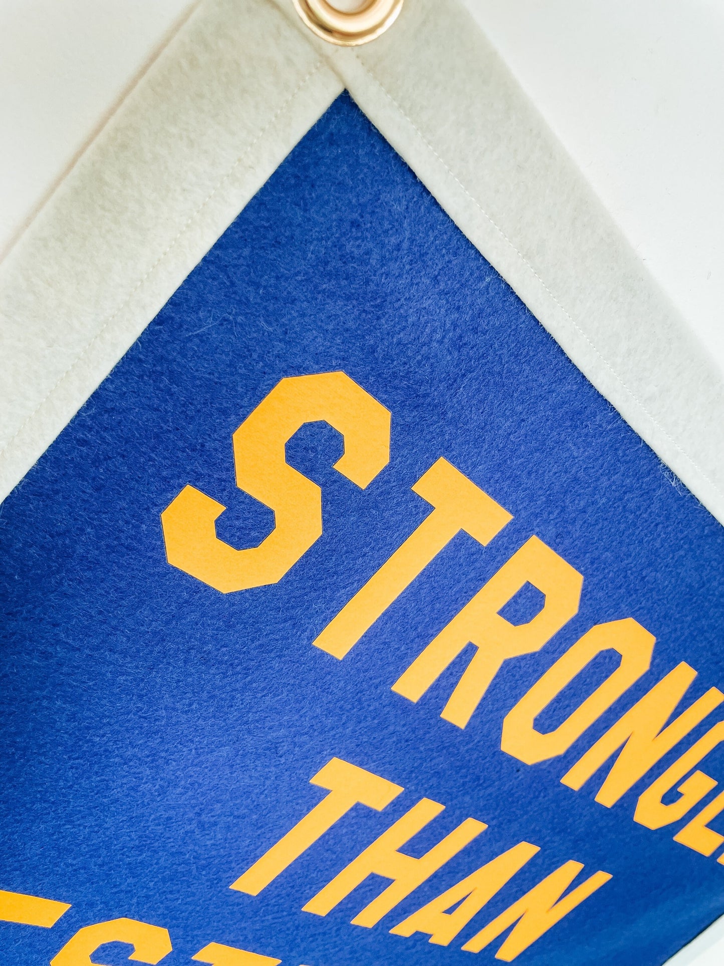 Stronger than yesterday Felt Banner Flag