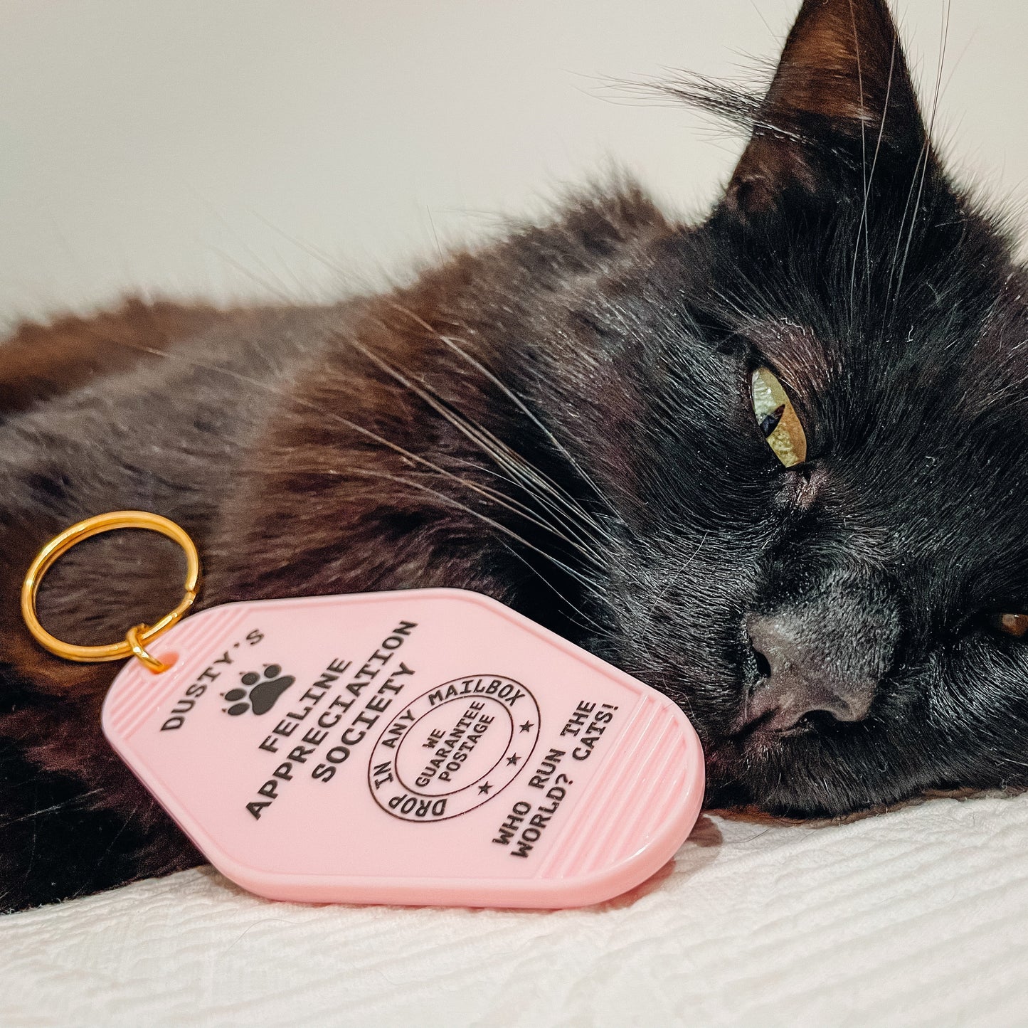 Feline Appreciation Society Motel Keychain